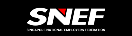 SNEF
